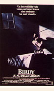 Birdy -Le ali della libert?1984