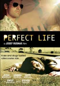 Perfect Life2010
