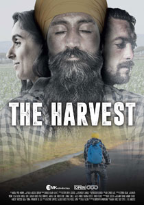 The Harvest2017