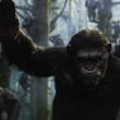 Apes Revolution: Il pianeta delle scimmie