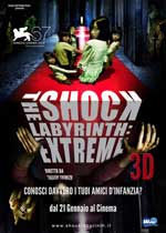 The Shock Labyrinth: extreme 3D2009