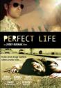 Perfect Life (2010)